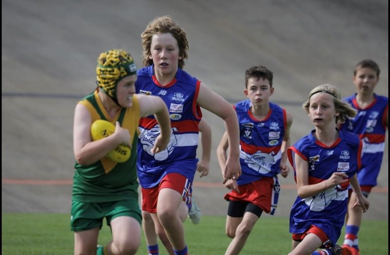 Island pups on the field post image