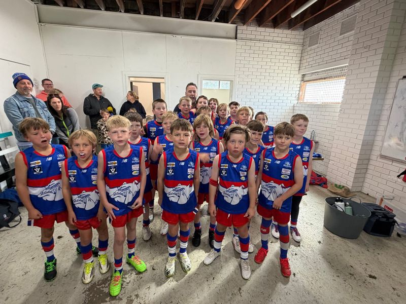 Good start for the Blue Pups - U10 Mixed Blue post image