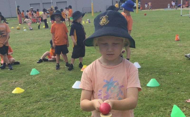 Newhaven Primary in Harmony post image