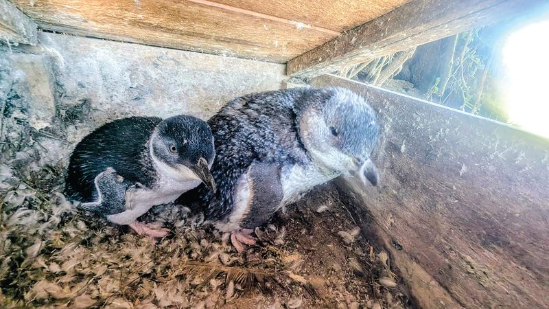 Know Your Nature Parks - Autumn 2026 post image