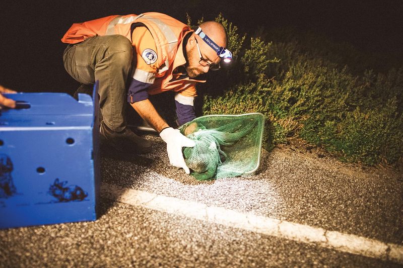 Help keep the skies dark post image