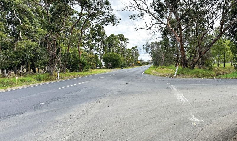 Deadly trees on local roads post image