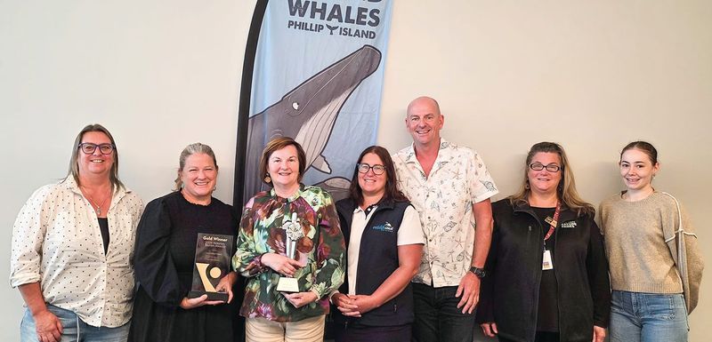 Ten years of whales, wonder and conservation post image