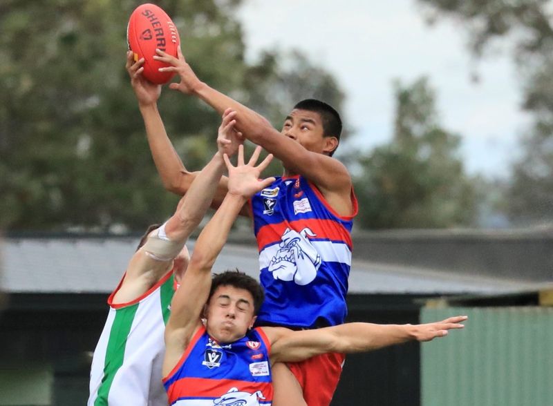 Bulldogs fly high - Seniors v Tooradin post image