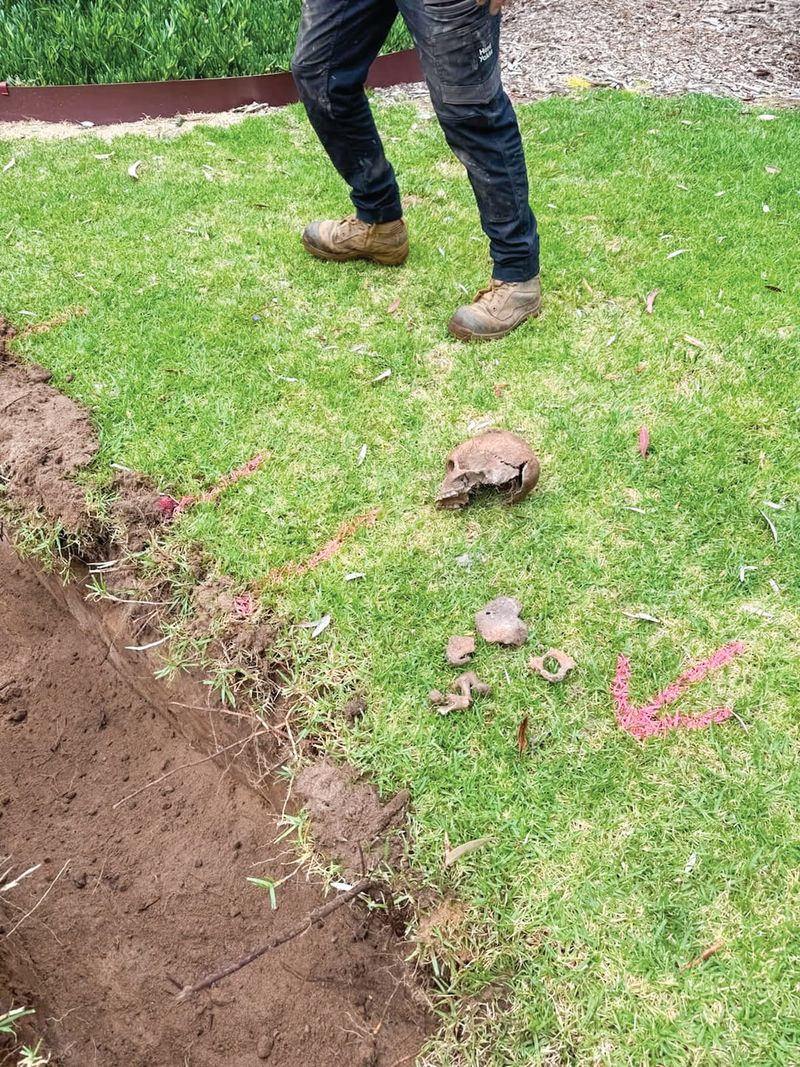 Mystery of human remains partly solved post image