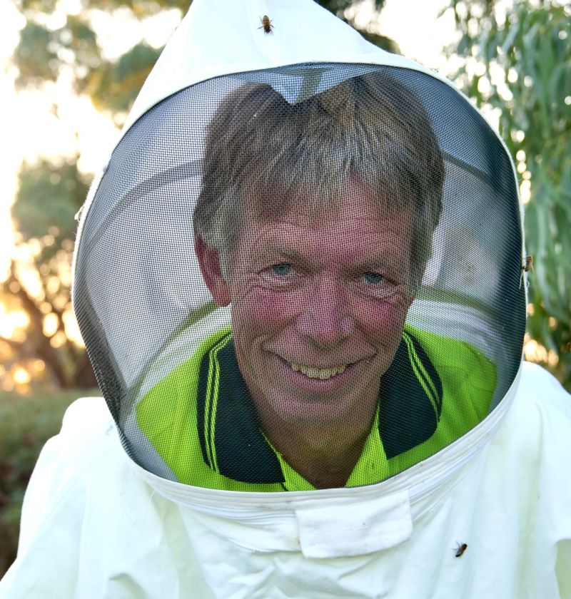 Bee killing parasite detected at  San Remo post image