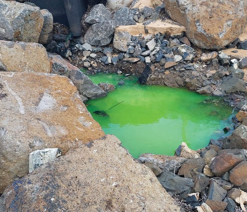 Bright green dye at yacht club post image