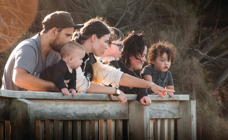Community to guide accessibility at Nature Parks post image