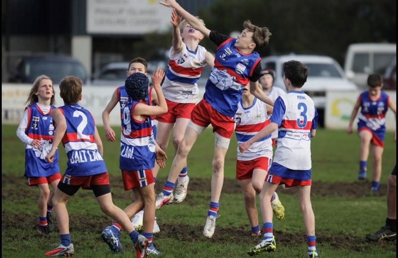 Red and Blue Pups showcase future Bulldogs post image