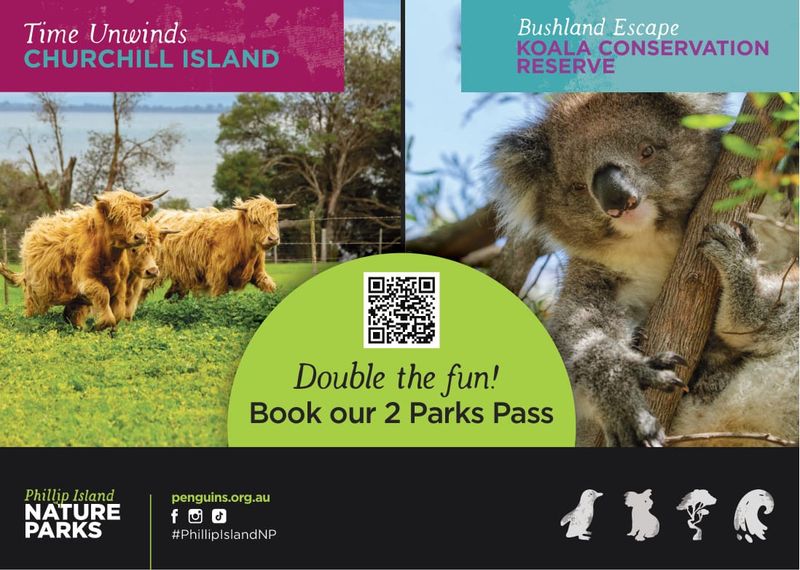Double the Fun with Phillip Island Nature Parks post image