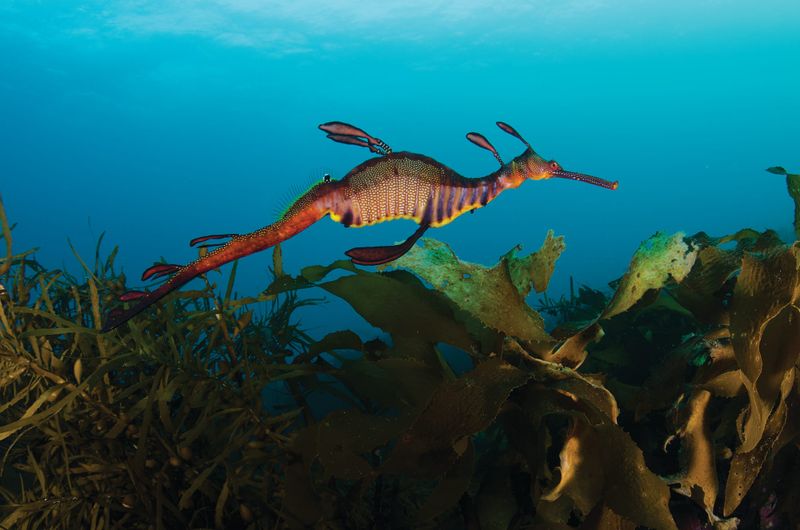 The future of Western Port post image
