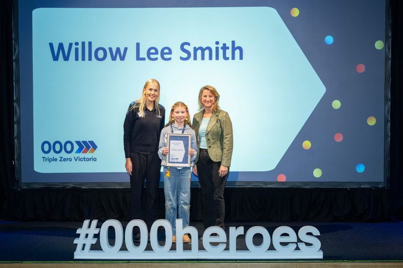 Island child hailed as hero post image