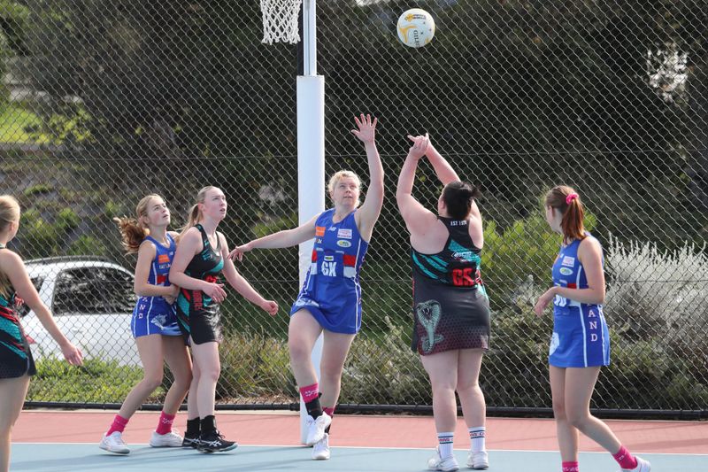 D Grade takes on top of the ladder post image