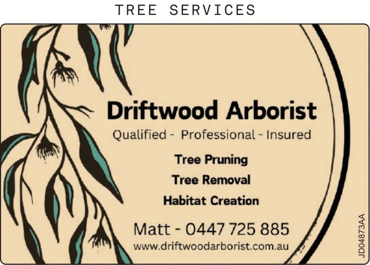 Driftwood Arborist post image