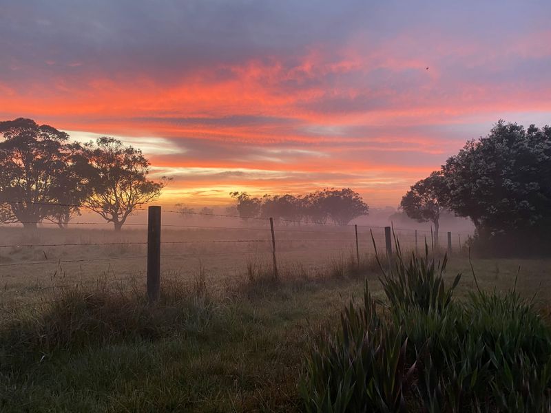 New charity launched to protect local environment post image