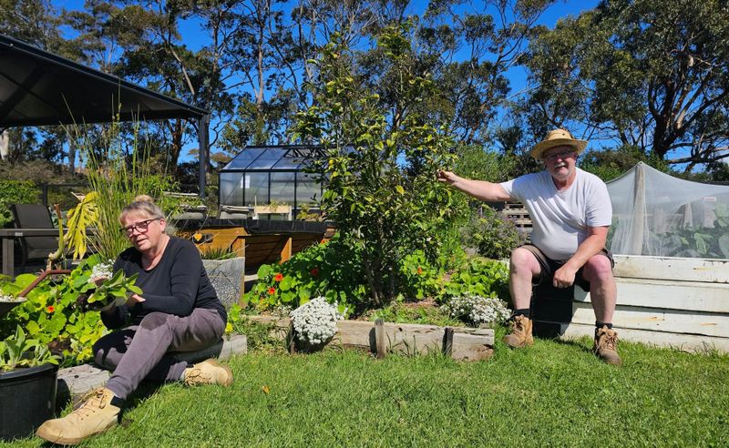PICAL Pantry Garden opens its gates post image