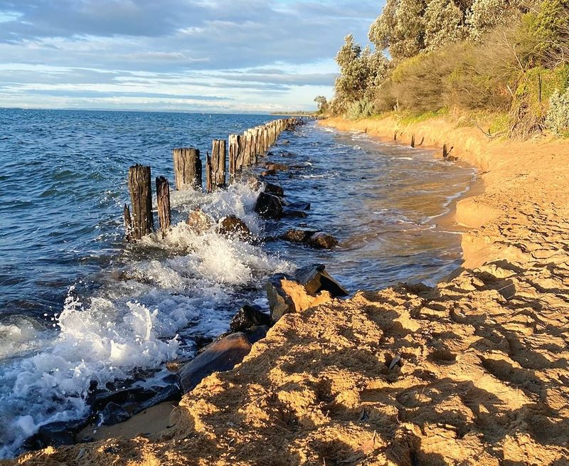 Property owners bearing sea level rise costs on their own post image
