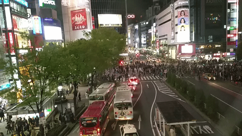 Shibuya crossing
