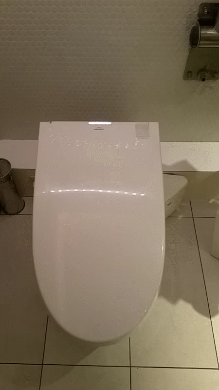 Robot toilet