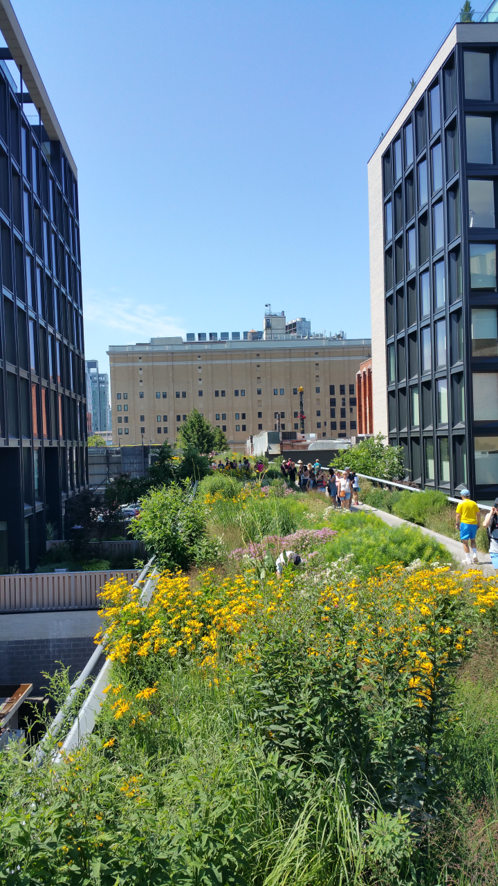 High line