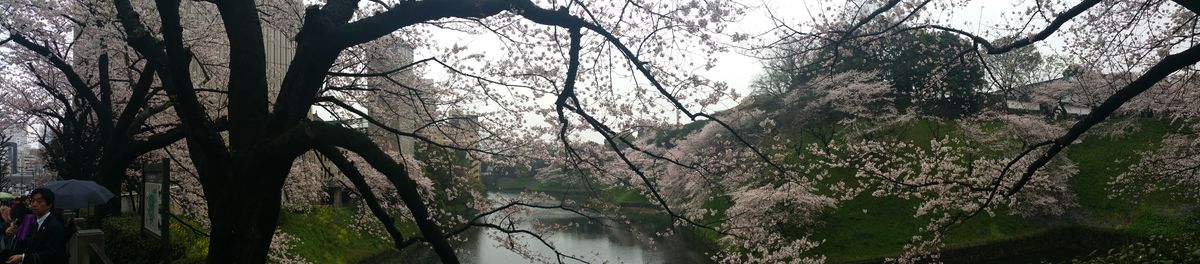 Asia 2016 - Day 12 - Royal Park (Tokyo edition)