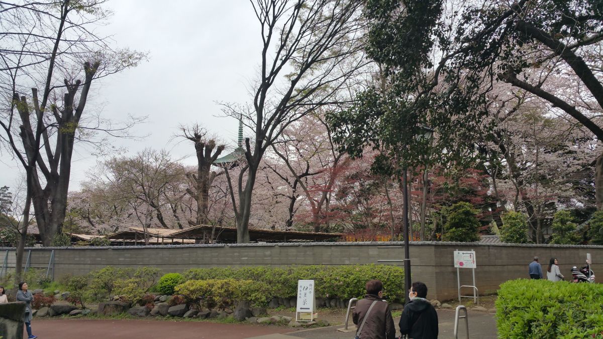 Asia  2016 - Day 13 - To New Heights