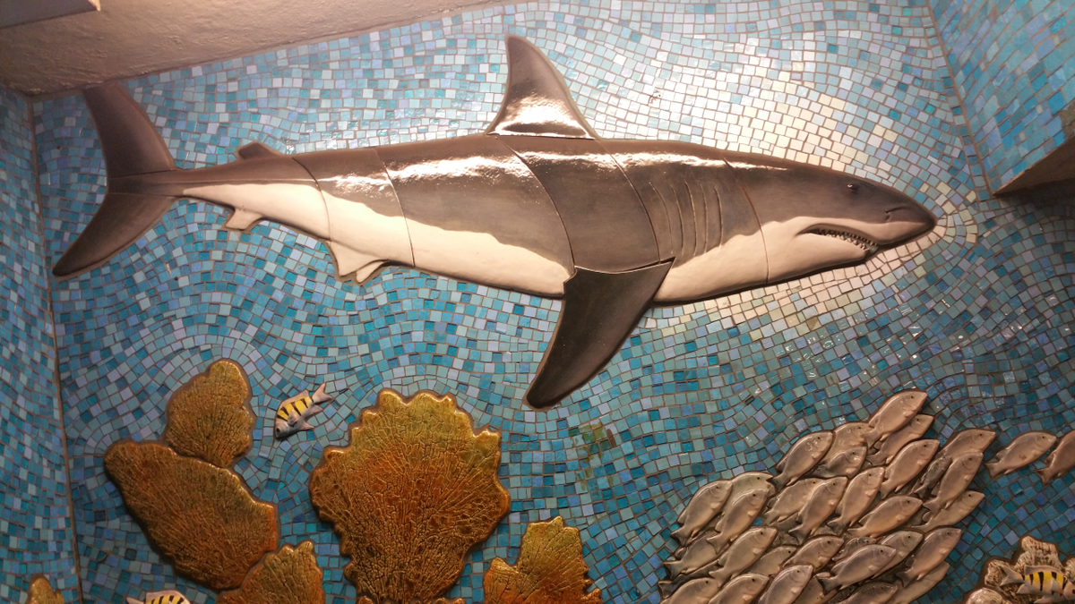 Chairman Bao and Dinosaurs ! - Day 5