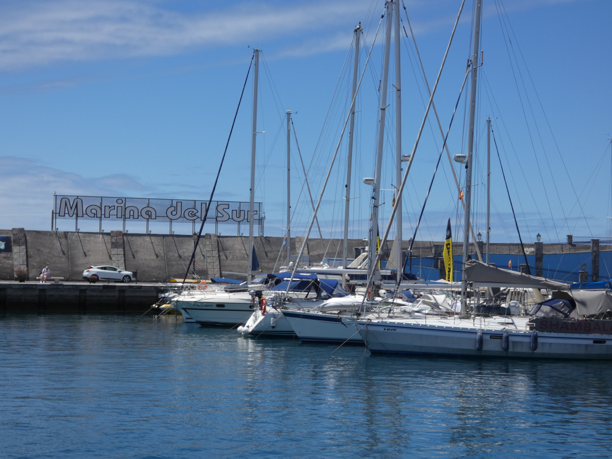 Tenerife - Day 4 - Swimming with the fishes