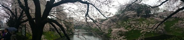 Asia 2016 - Day 12 - Royal Park (Tokyo edition)