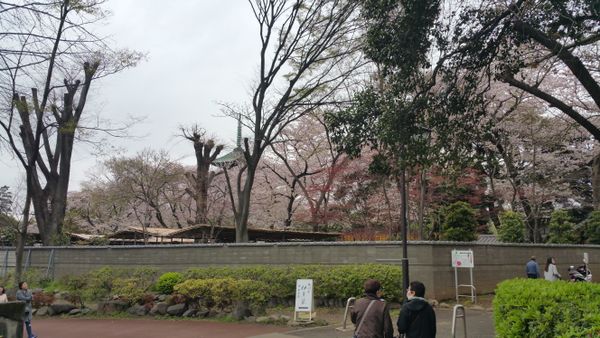 Asia  2016 - Day 13 - To New Heights