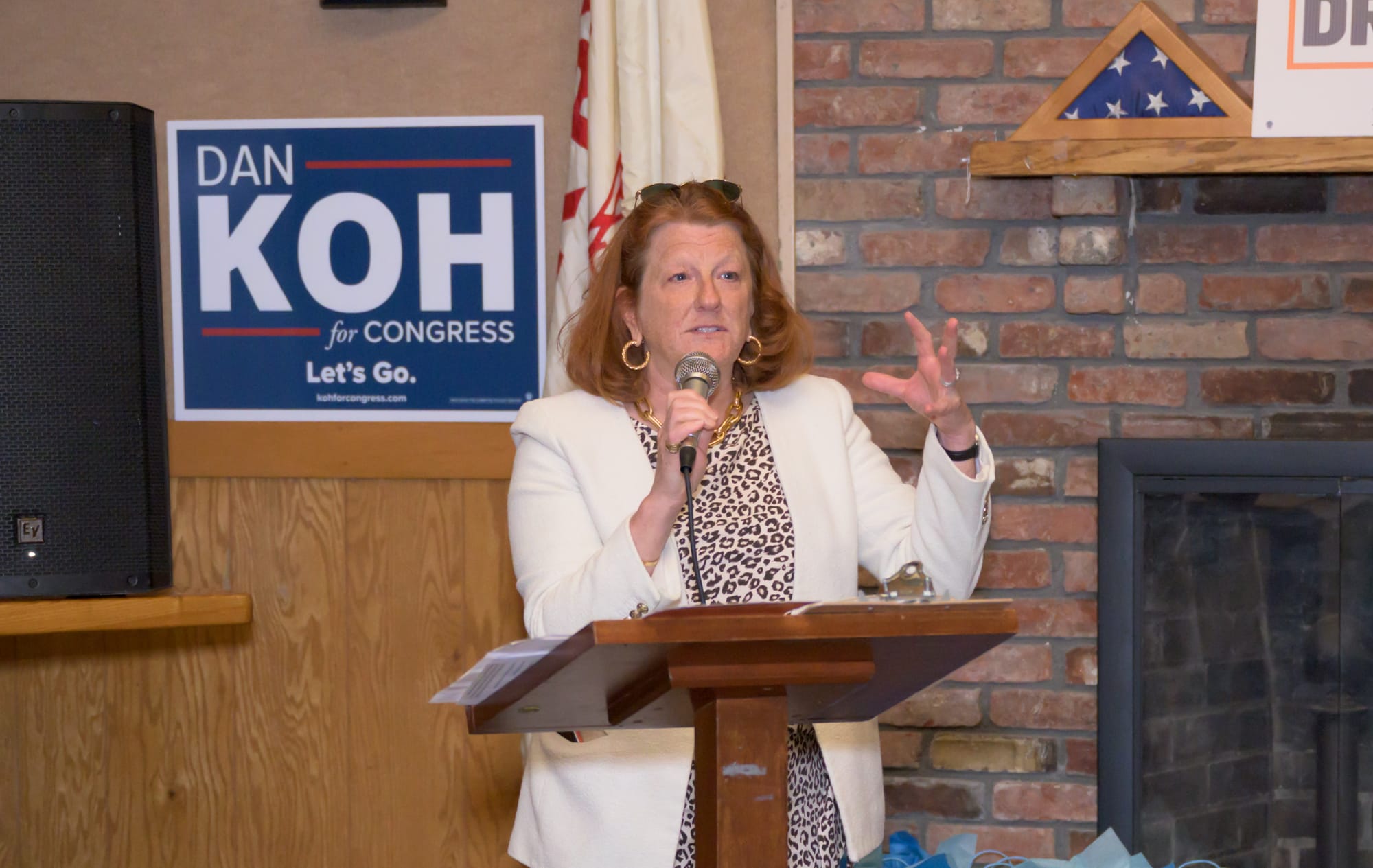 State Rep. Jenny Armini speaking at the Marblehead Democratic Town Committee picnic
