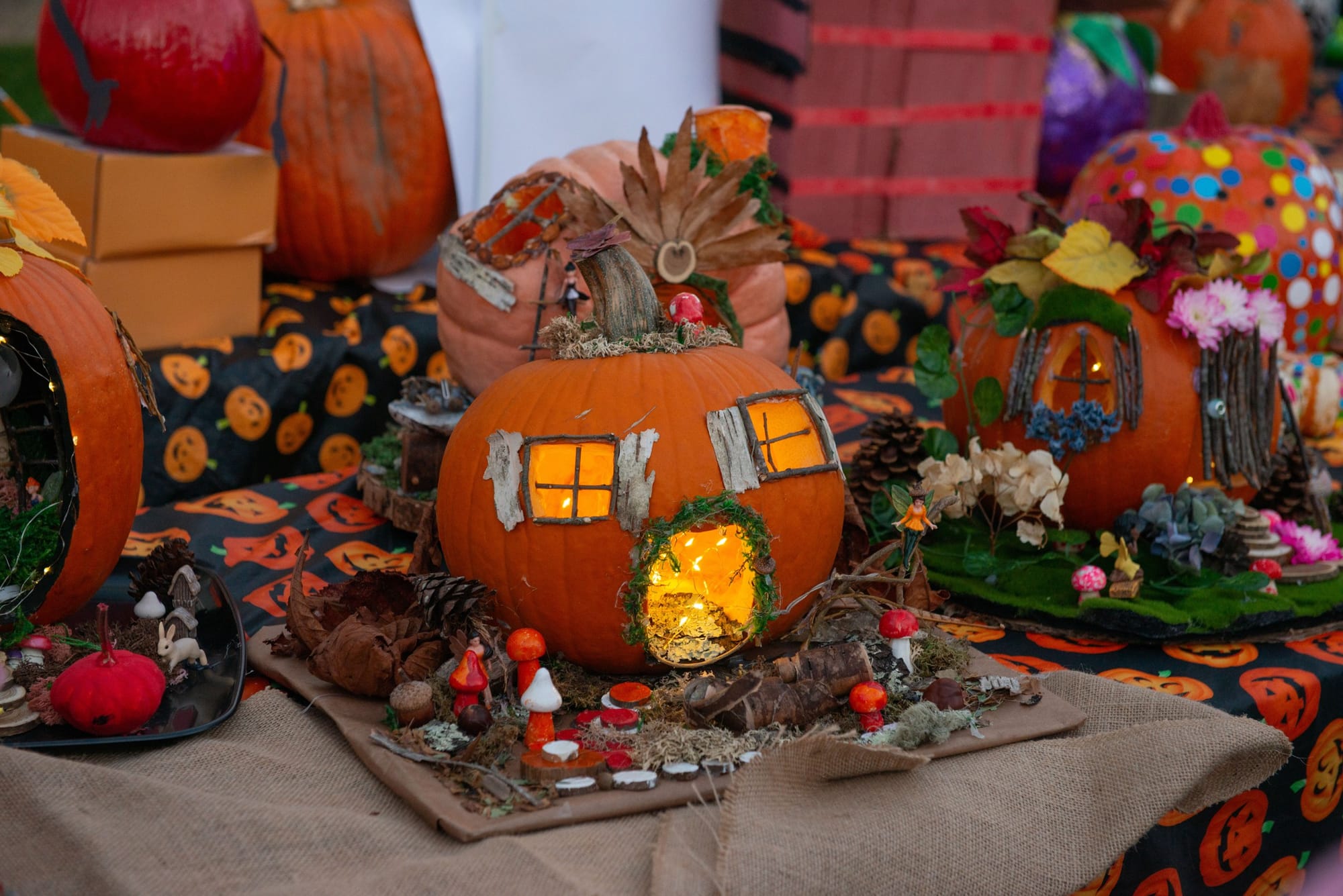 Pumpkins carved into lit fairy houses with tiny windows and doors