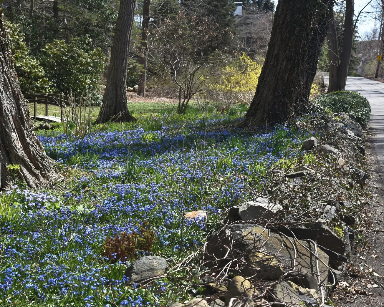 PHOTO ESSAY: Signs of spring in Marblehead