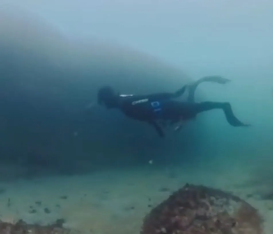BENEATH THE BLUE: Diving on one breath