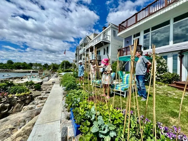 Summer solstice brings an easy week in the garden
