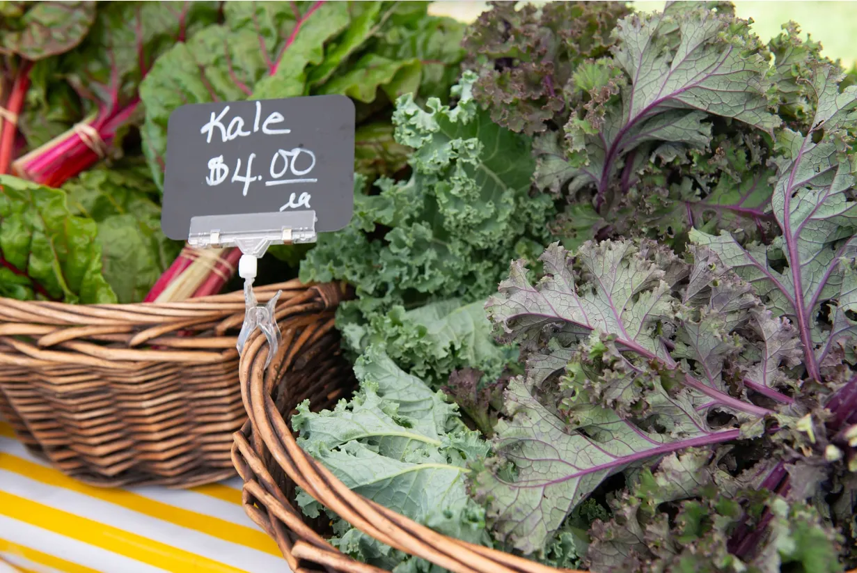 MARBLEHEAD MORSELS: Lettuce eat local