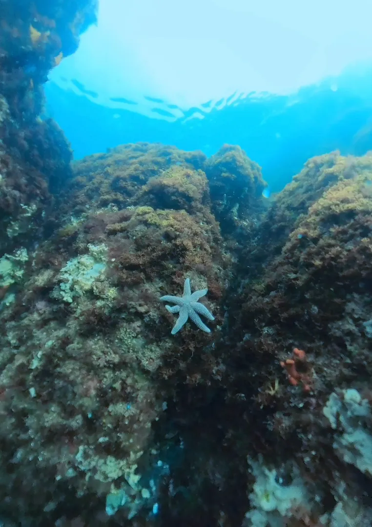 BENEATH THE BLUE: A place of peace