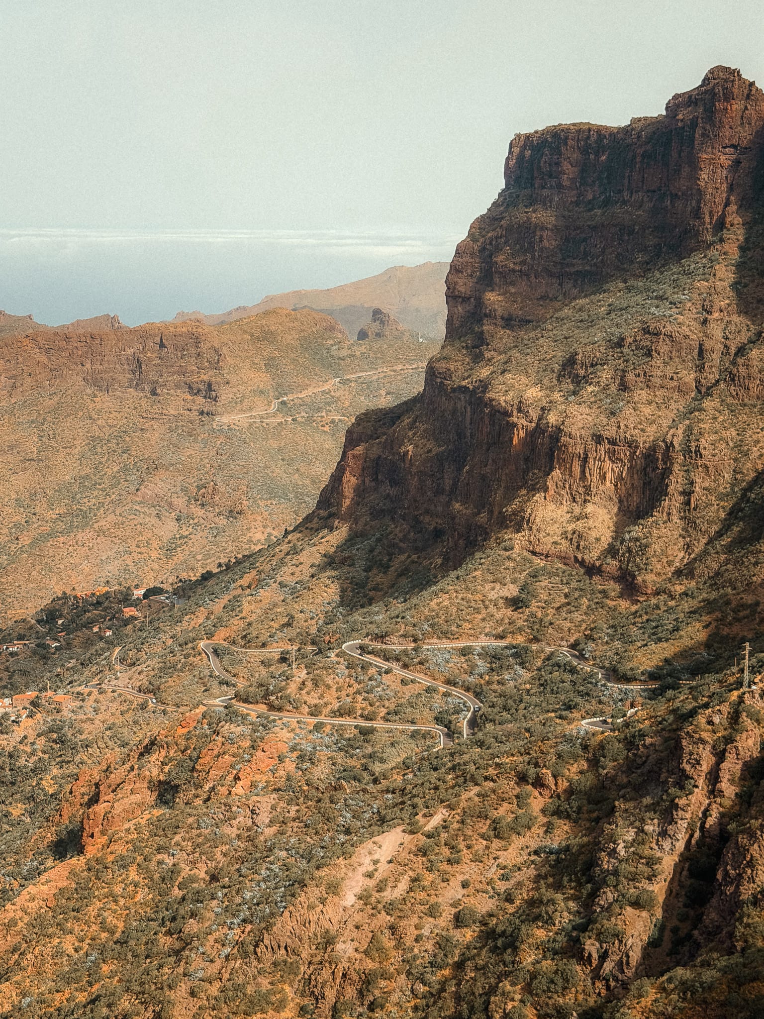 CTA Image