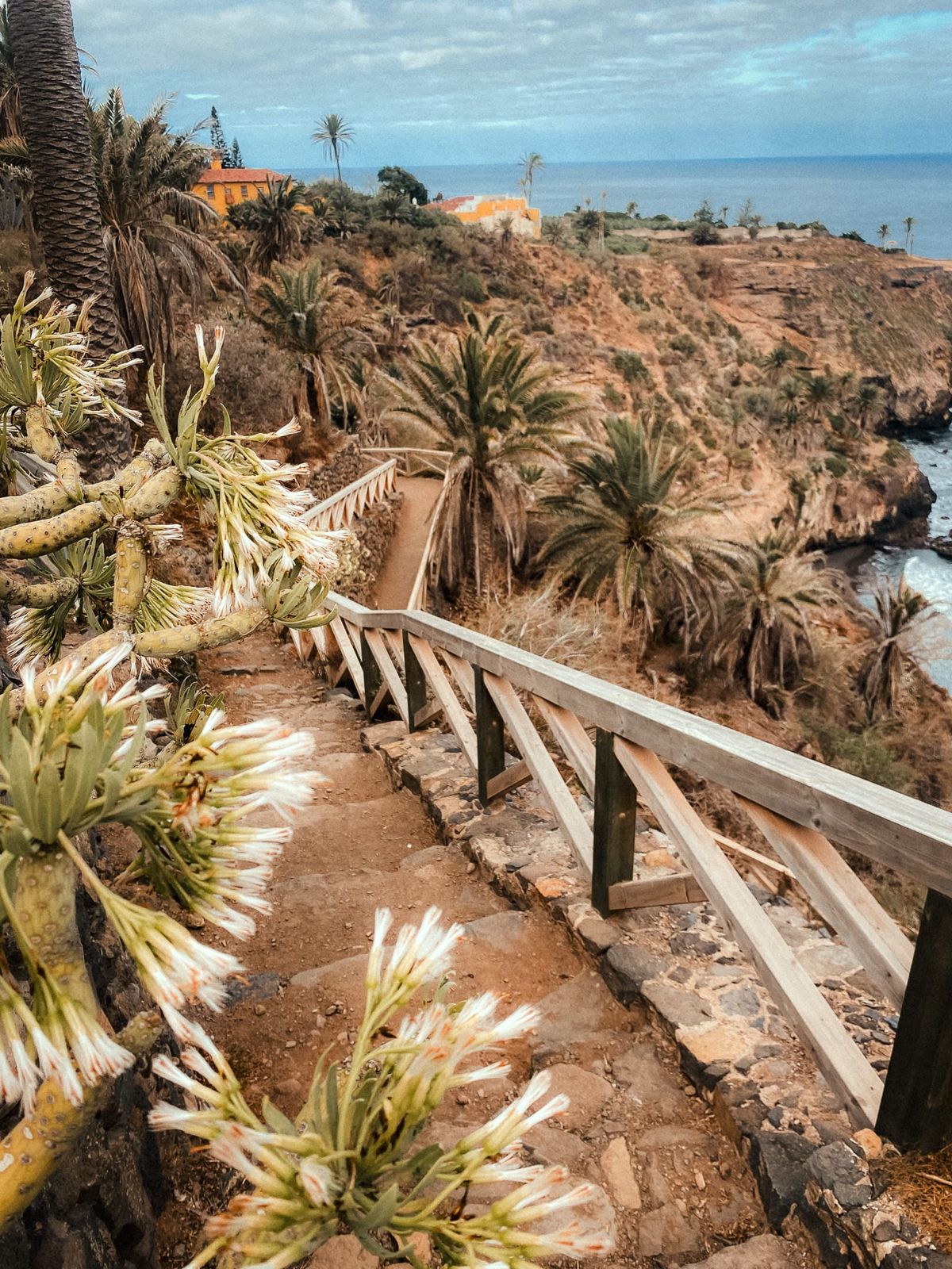 12 Beautiful Tenerife Hikes I Explored