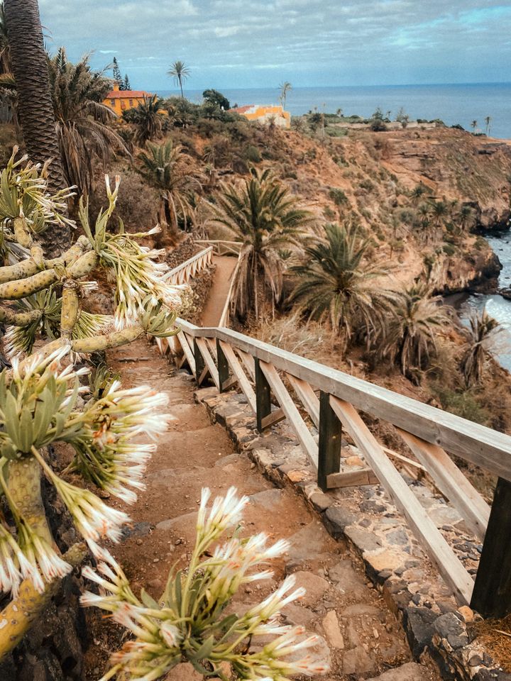 12 Beautiful Tenerife Hikes I Explored