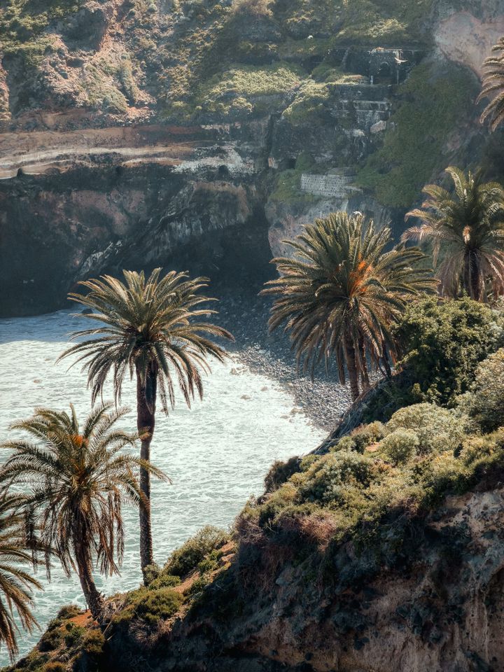 Top 15 Easy Hikes in Tenerife with Amazing Views | Free Guide