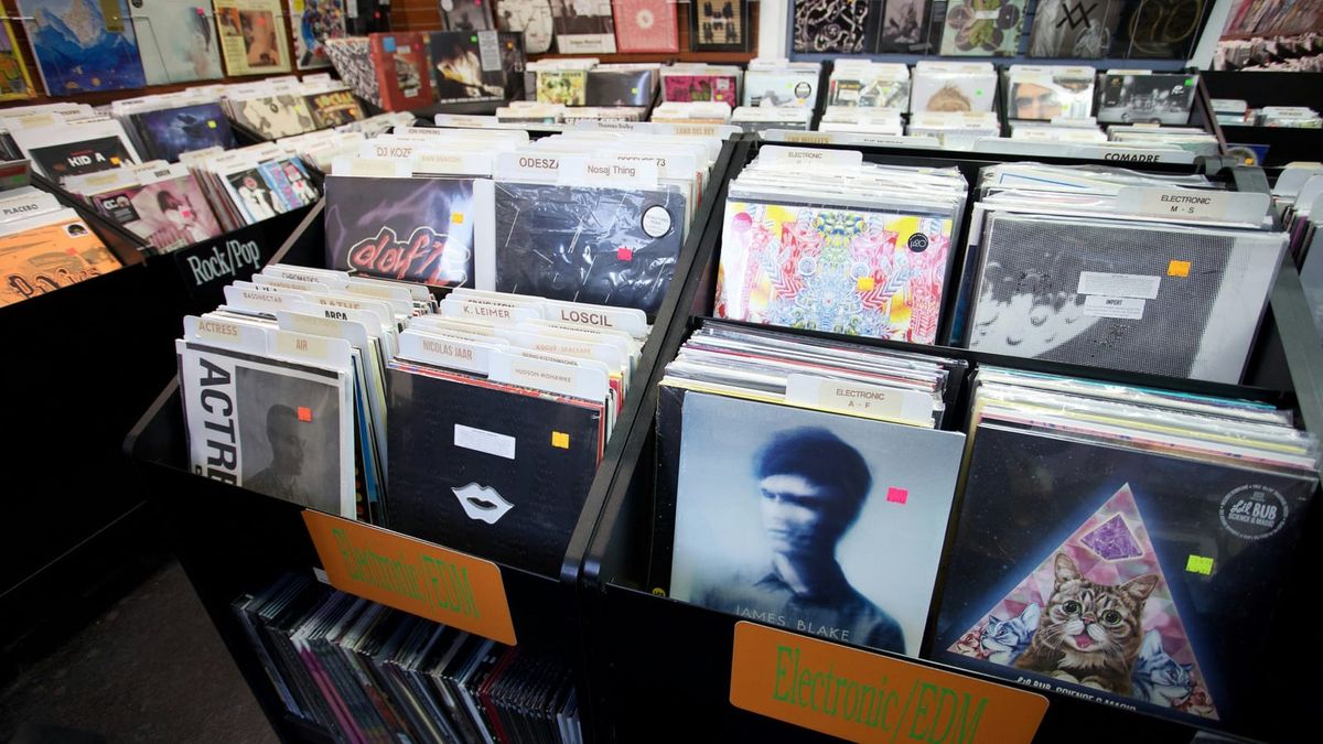Rows of vinyl albums by many artists displayed at The Sound Garden record shop in Baltimore.