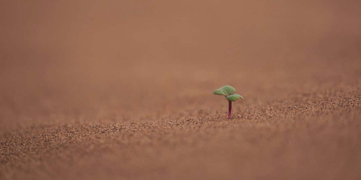 Post-Traumatic Growth