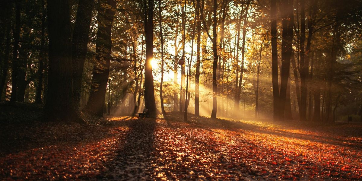 Seasons and Reasons