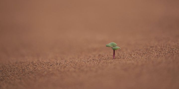 Post-Traumatic Growth