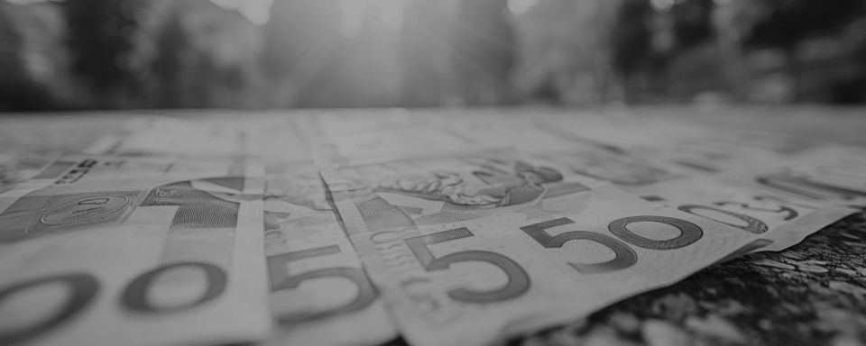 Recuperarea Taxelor din Germania: Ghidul Simplu pentru Români (2026)