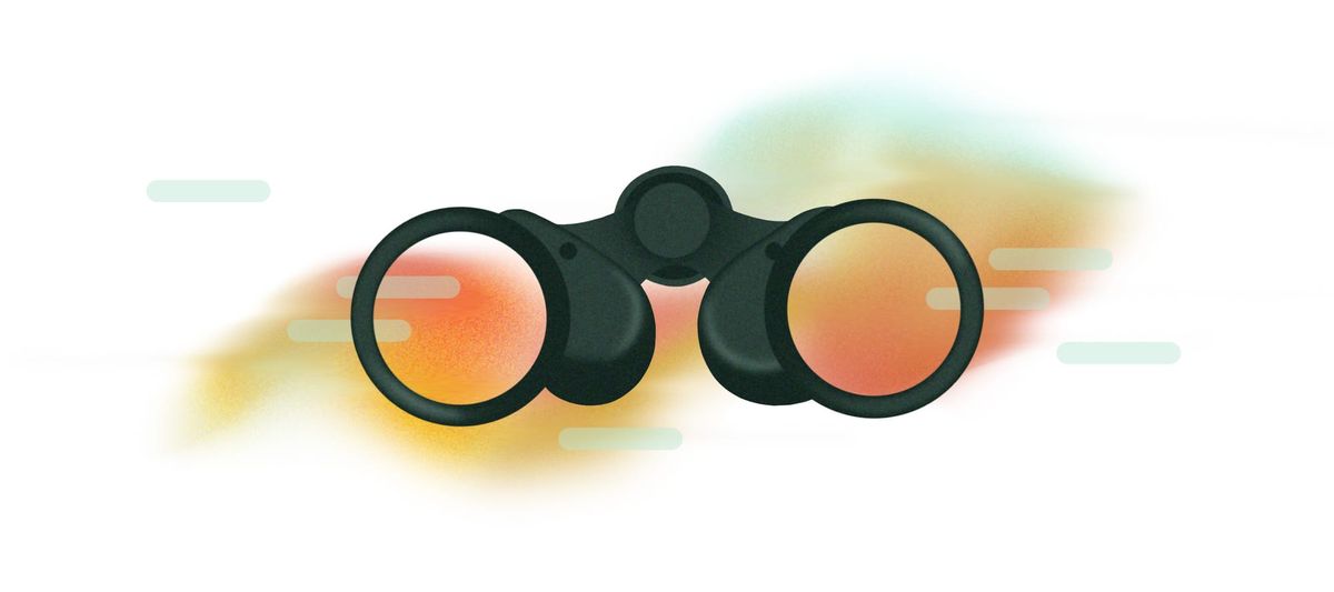 How I See an Owl, Alive in the Face of Things