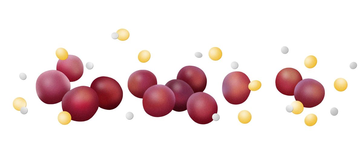 Twelve Red Grapes