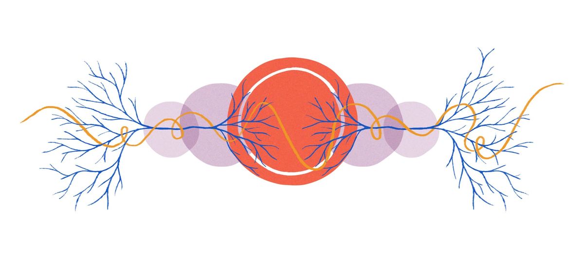 Love Story with Cow’s Eye