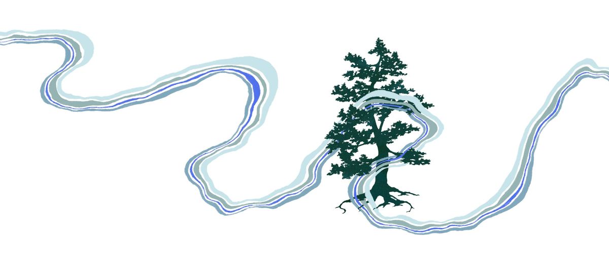 Rooted